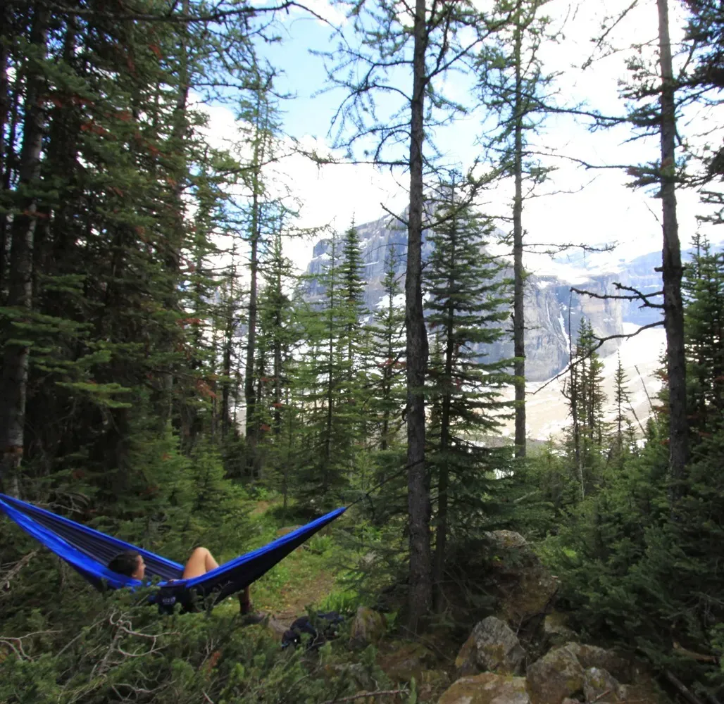 Complex Diseases & Lyme