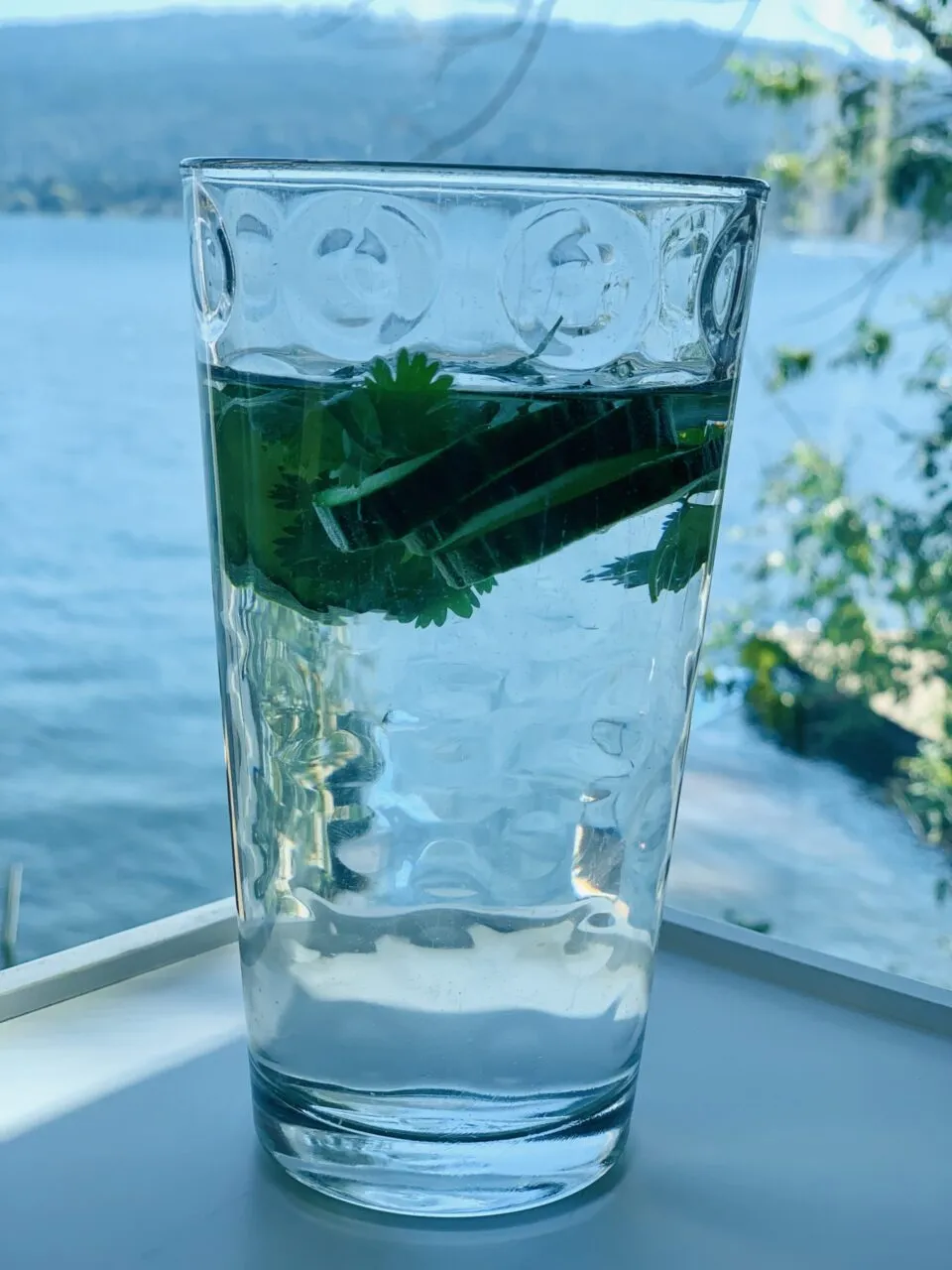 Refreshing cucumber herb infused water as a healthy cooling food for summer hydration
