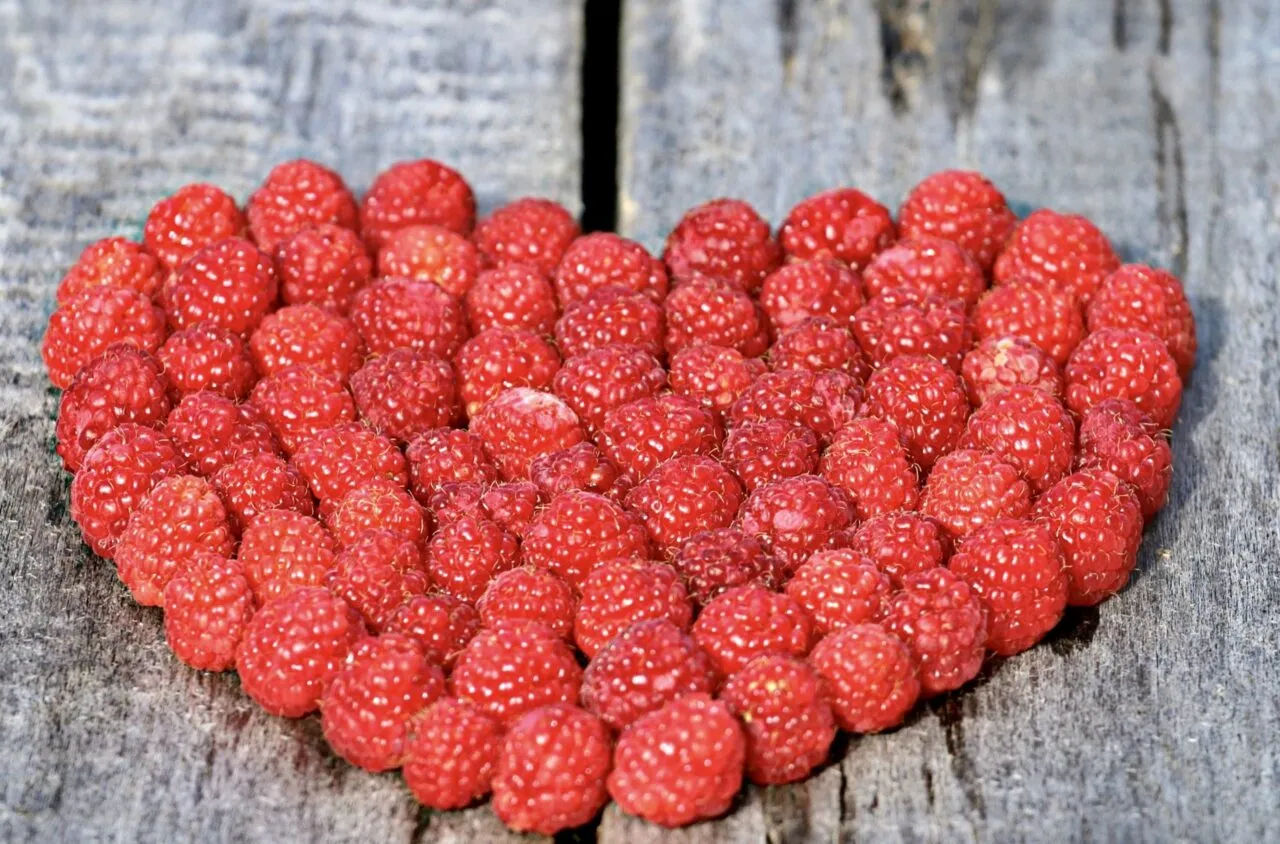 Heart-shaped raspberry arrangement symbolizing naturopathic cardiovascular health and heart wellness
